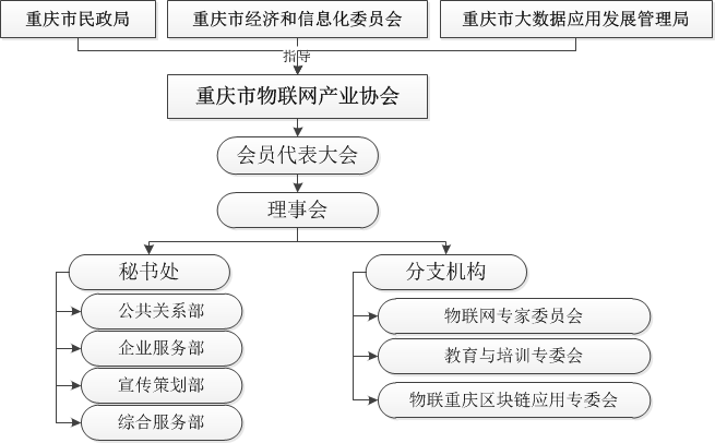 协会组织架构.png